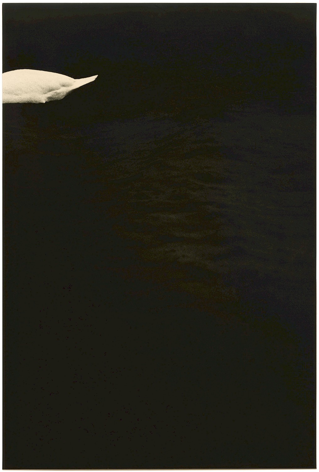 Mikael Siirilä, Untitled (Partial swan), 2020