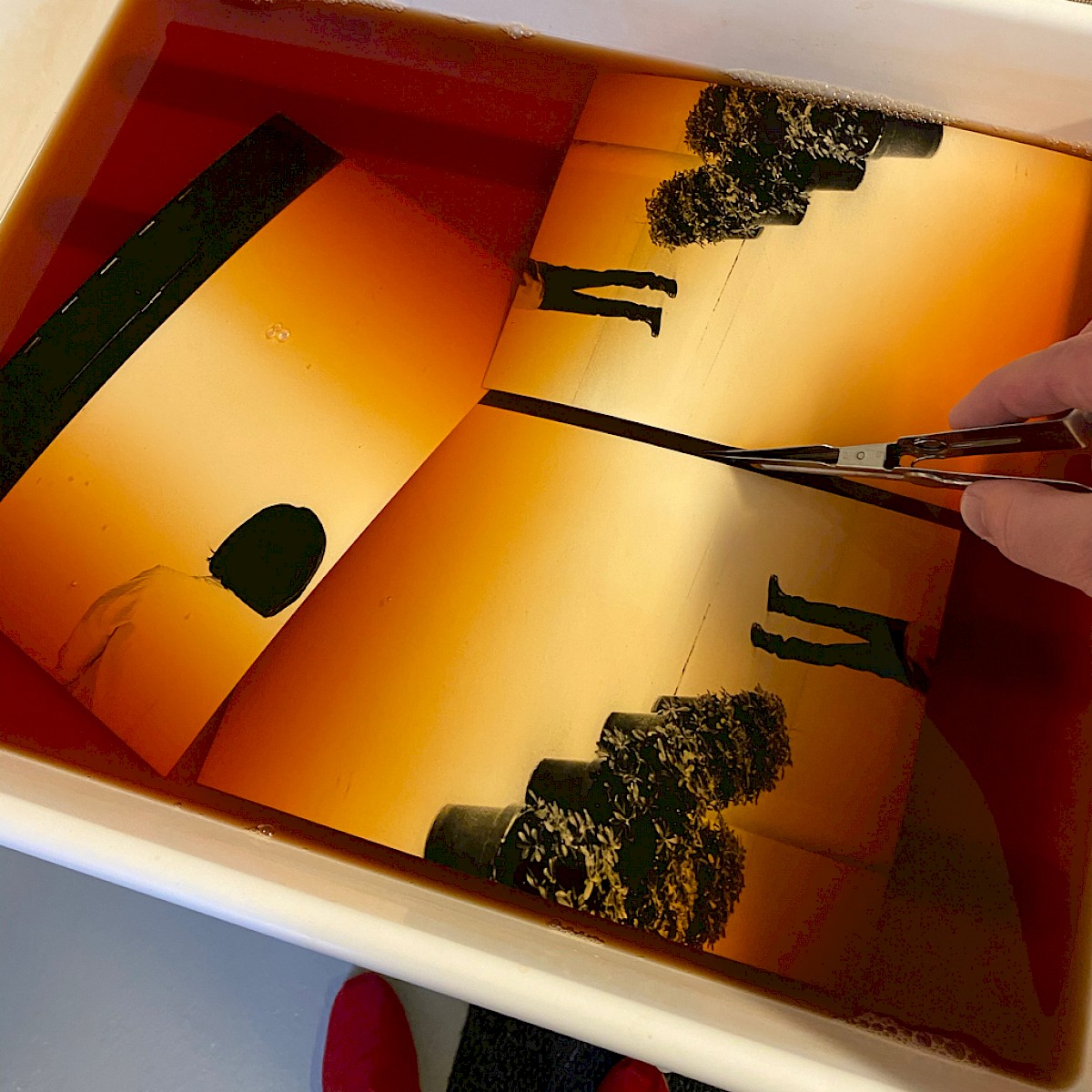 Silver Gelatin Process: 7. Toning