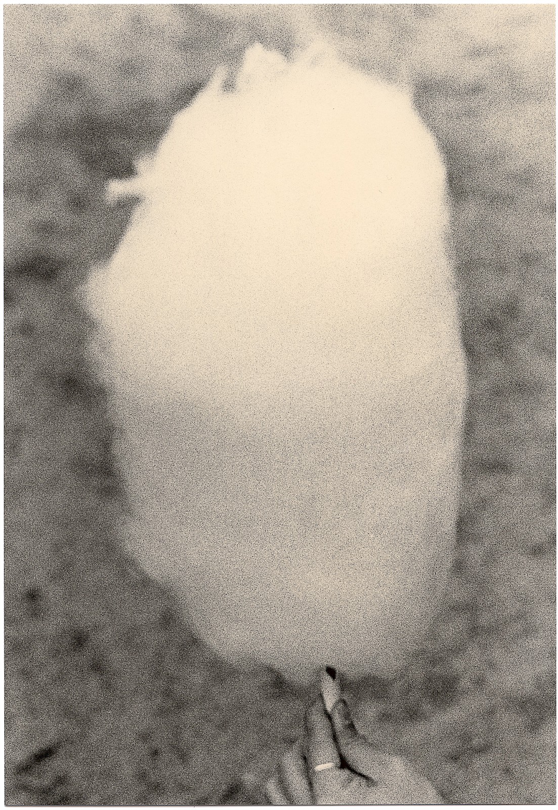 Untitled (cotton candy),  by Mikael Siirilä